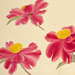 Baien Mori Gallery